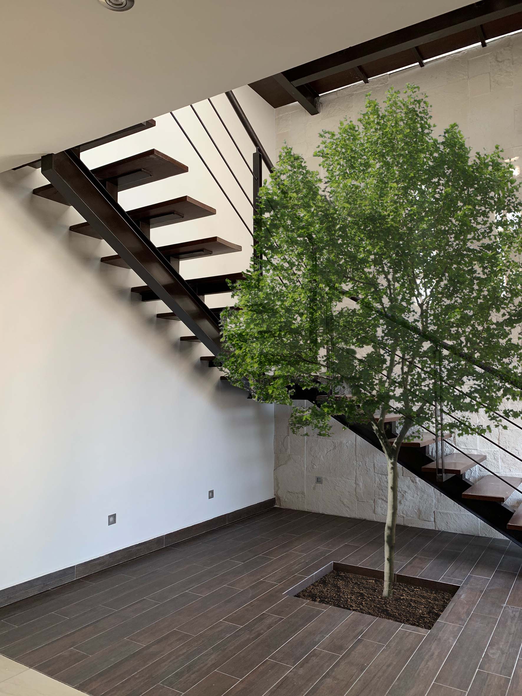 Mixto Arquitectura